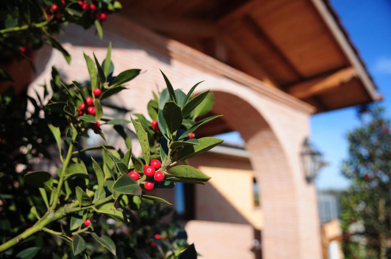 Poggio Dei Cavalieri Bed and Breakfast Boccea Εξωτερικό φωτογραφία